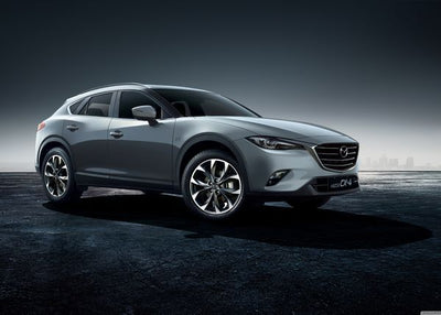Mazda siva Default Title