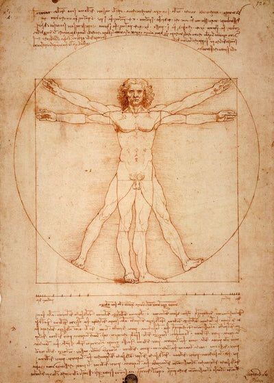 Leonardo Da Vinci La Divina Proporcion Default Title