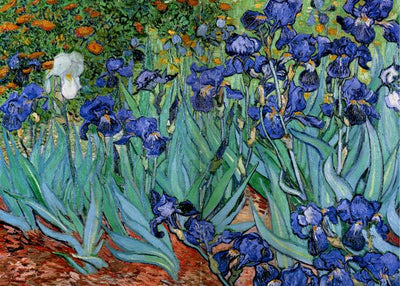 1889 Van Gogh, Irises Default Title