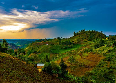 Uganda nacionalni park kraljice Elizabete Default Title