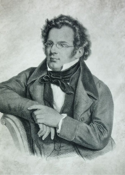 Franz Schubert crtez Default Title