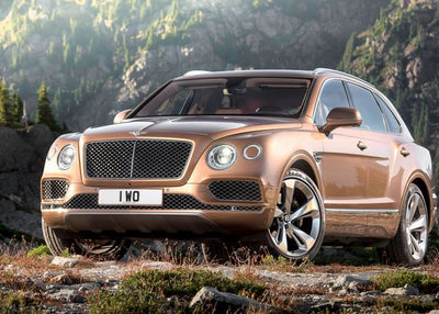 Bentley braonkasti Default Title