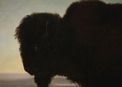 Albert Bierstadt, Buffalo Head Default Title