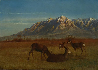 Albert Bierstadt, Deer in Mountain Home Default Title