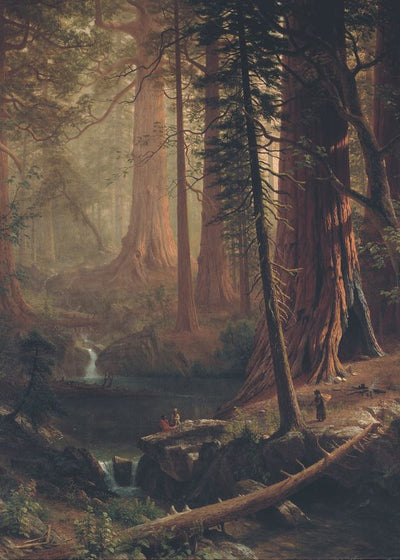 Albert Bierstadt Giant Redwood Trees of California Default Title