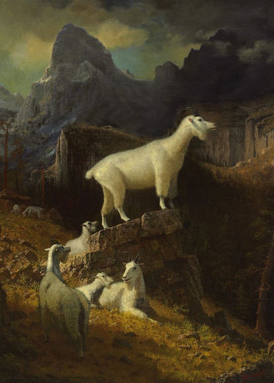 Albert Bierstadt Rocky Mountain Goats Default Title