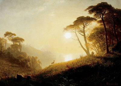 Albert Bierstadt, Scene in Yosemite Valley Default Title
