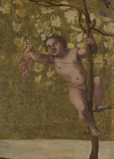 Annibale Carracci Putto gathering Grapes Default Title