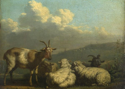 Karel Dujardin, Sheep and Goats Default Title