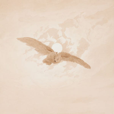 Friedrich Caspar David, Owl Flying against a Moonlit Sky Default Title