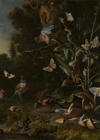Hondecoeter Melchior d Birds Butterflies and a Frog among Plants and Fungi Default Title