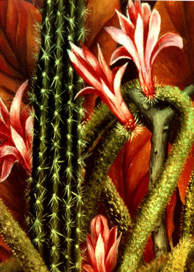 Frida Kahlo Portrait of  Gave Rosita Morillo Detail the flowers Default Title