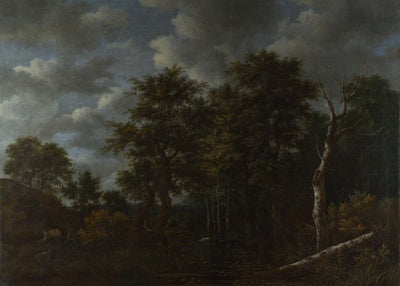 Jacob van Ruisdael, A Pool surrounded by Trees Default Title