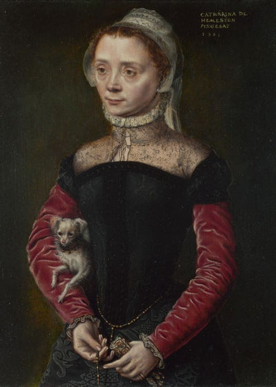 Catharina van Hemessen Portrait of a Lady Default Title