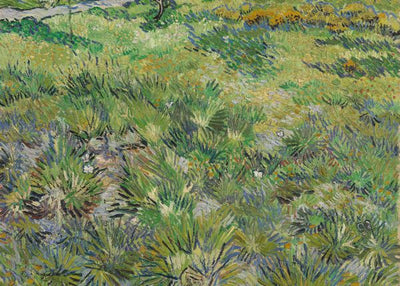 Vincent Van Gogh, Long Grass With Butterflies Default Title