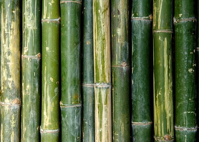 Bambus slozena stabla Default Title