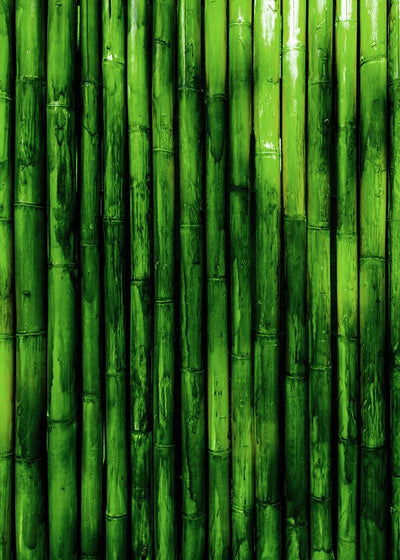 Bambus stabla slozena Default Title