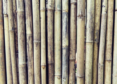 Bambus svetla nijansa Default Title