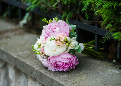 Karanfil na betonu Default Title