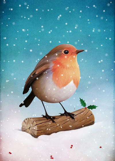Decije ilustracije ptica na snegu Default Title