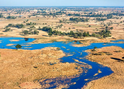 Bocvana Okavango Grassland Default Title