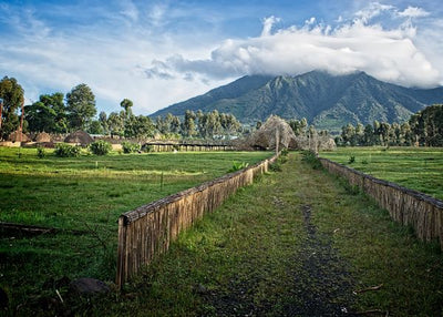 Ruanda nacionalni park vulkana Default Title