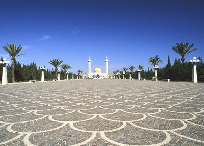 Tunis Le Mausolee Bourguiba Default Title
