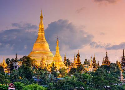 Burma Yangon, Myanmar view of Shwedagon Pagoda Default Title