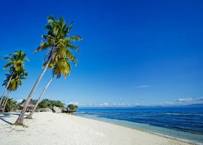 Filipini palme na plazi Default Title