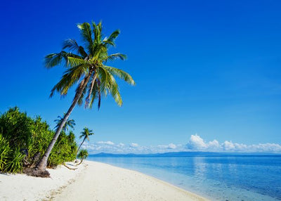 Filipini pesak i palma Default Title