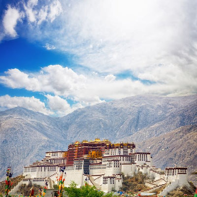 Himalaji palata Potala Default Title