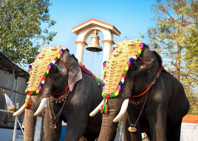 Indija dva slona Default Title