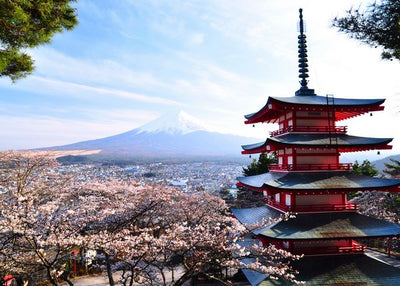 Japan zamak na visini Default Title
