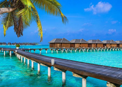 Maldivi i most do bungalova Default Title