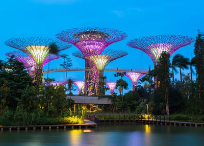 Singapur gardens by the bay Default Title