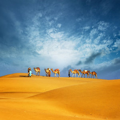 Ujedinjeni Arapski Emirati kamile Default Title