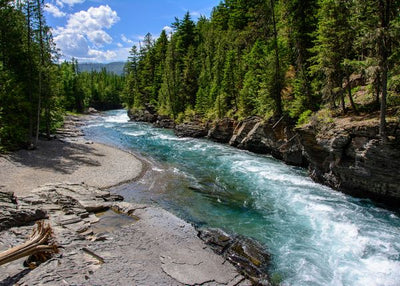 Montana Middle Fork Flathead River in Glacier National Park Default Title