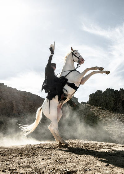 Lone Ranger (2013) i beli konj Default Title