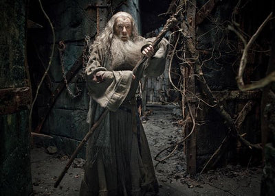 The Hobbit The Desolation of smaug Gandalf Default Title