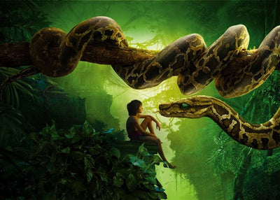Jungle Book  Mowgli i Kaa Default Title