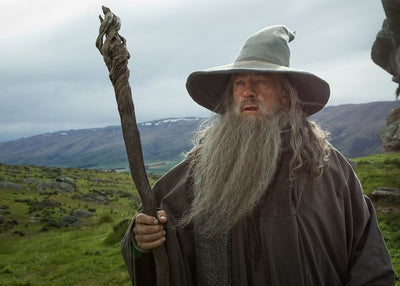 The Hobbit An Unexpected journey Gandalf na poljani Default Title