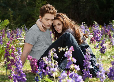 Twilight Movies Robert Pattinson i Kristen Stewart i cvece Default Title