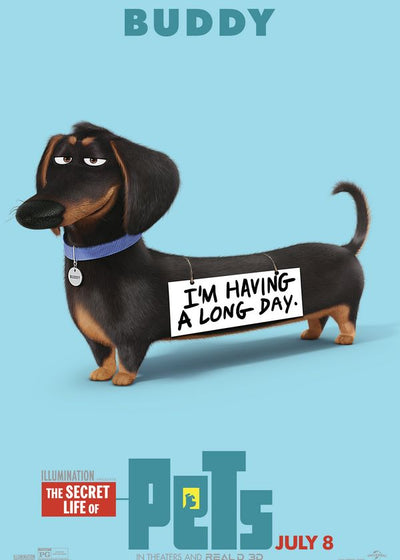 Secret Life Of Pets Buddy poster Default Title