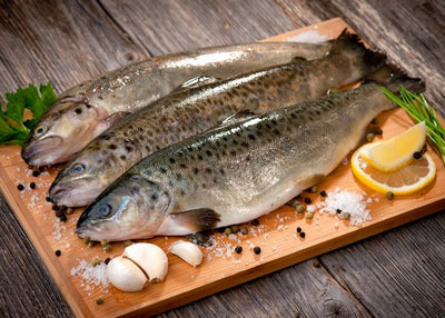 Morska hrana beli luk i ribe Default Title