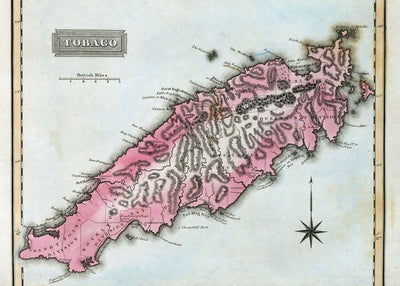 Mape Trinidad i Tobago roze Default Title
