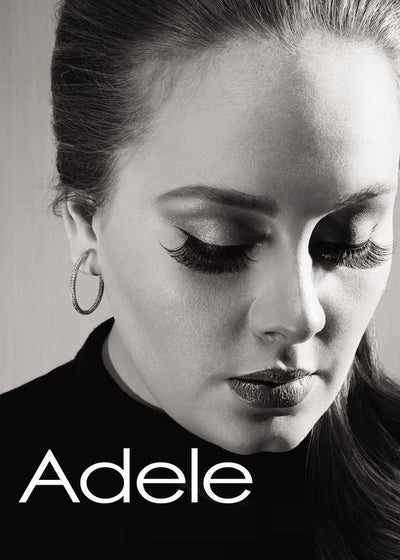 Adele sivi poster Default Title