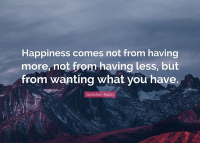 Happiness comes not from having more Default Title