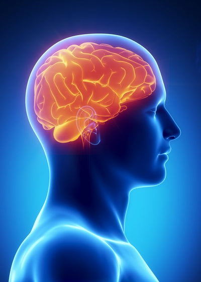 Anatomija mozak plava pozadina Default Title