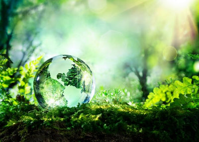 Ekoloski motivi kapljica u sumi Default Title