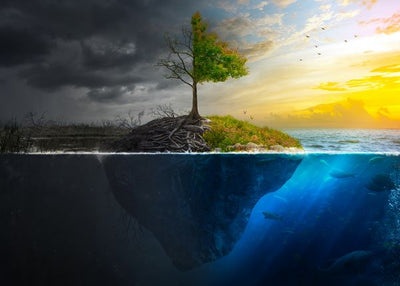 Ekoloski motivi sunce i mrak Default Title